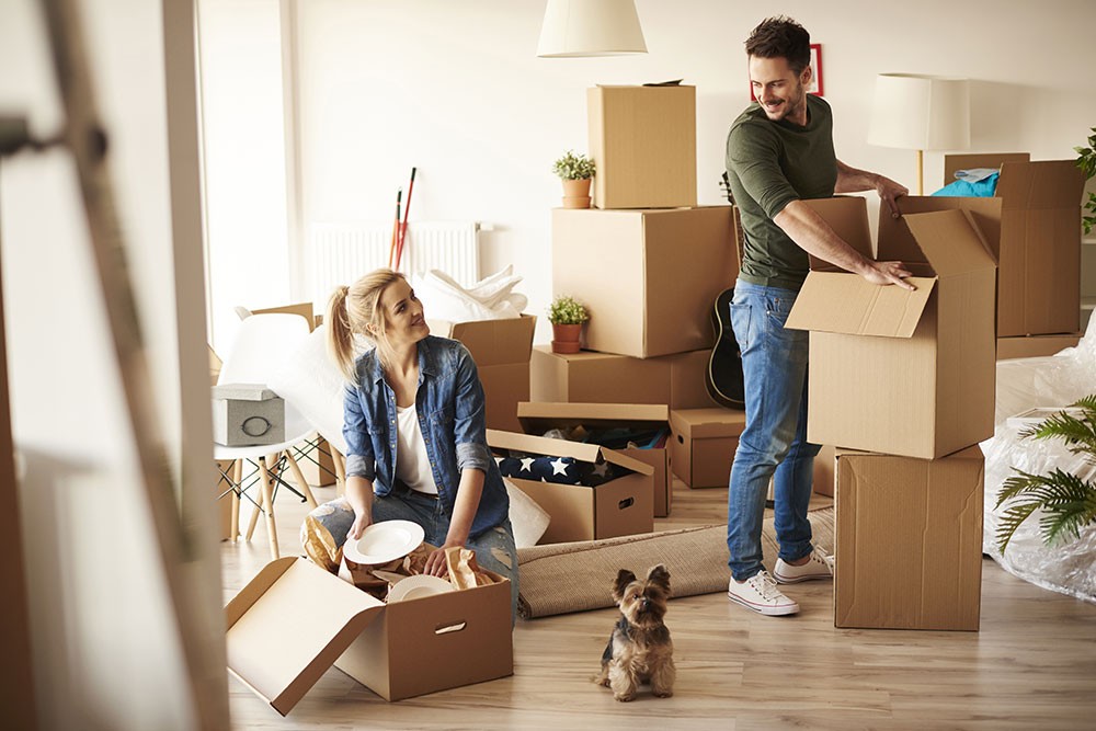 How to Move with Pets - MGR Real Estate mgr-real-estate-moving-with-pets