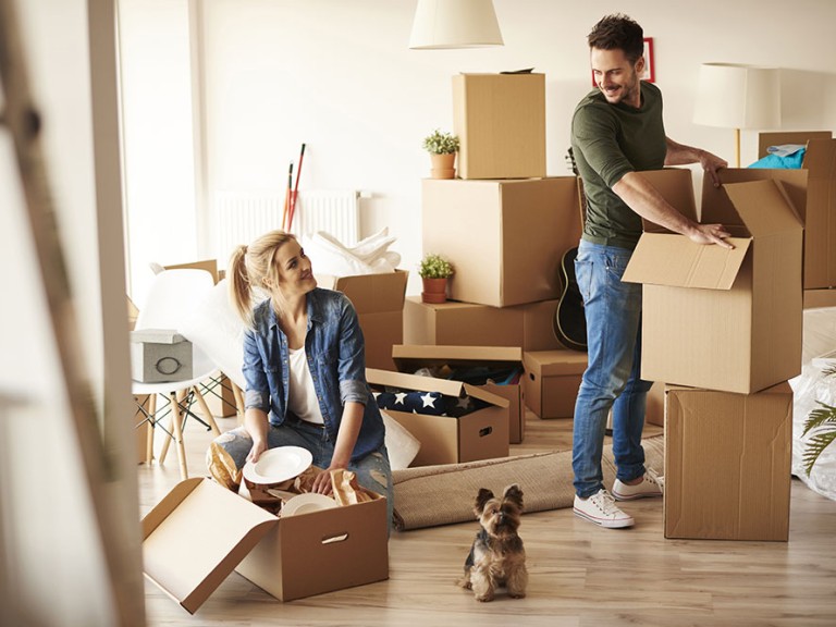 mgr-real-estate-moving-with-pets