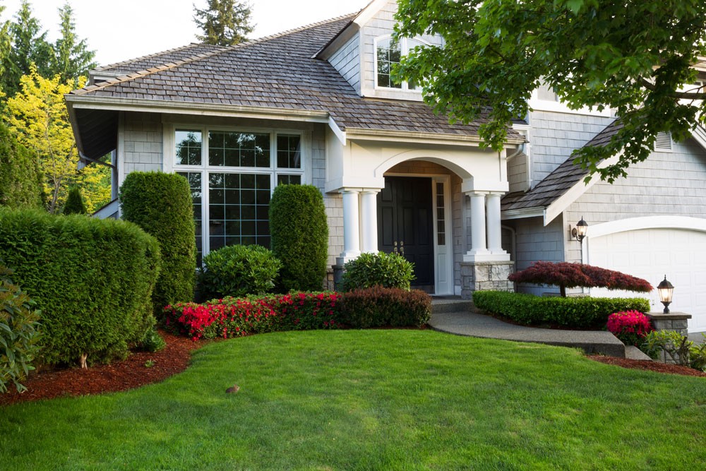 How to Grow Property Value - MGR Real Estate mgr-real-estate-benefit-of-trees